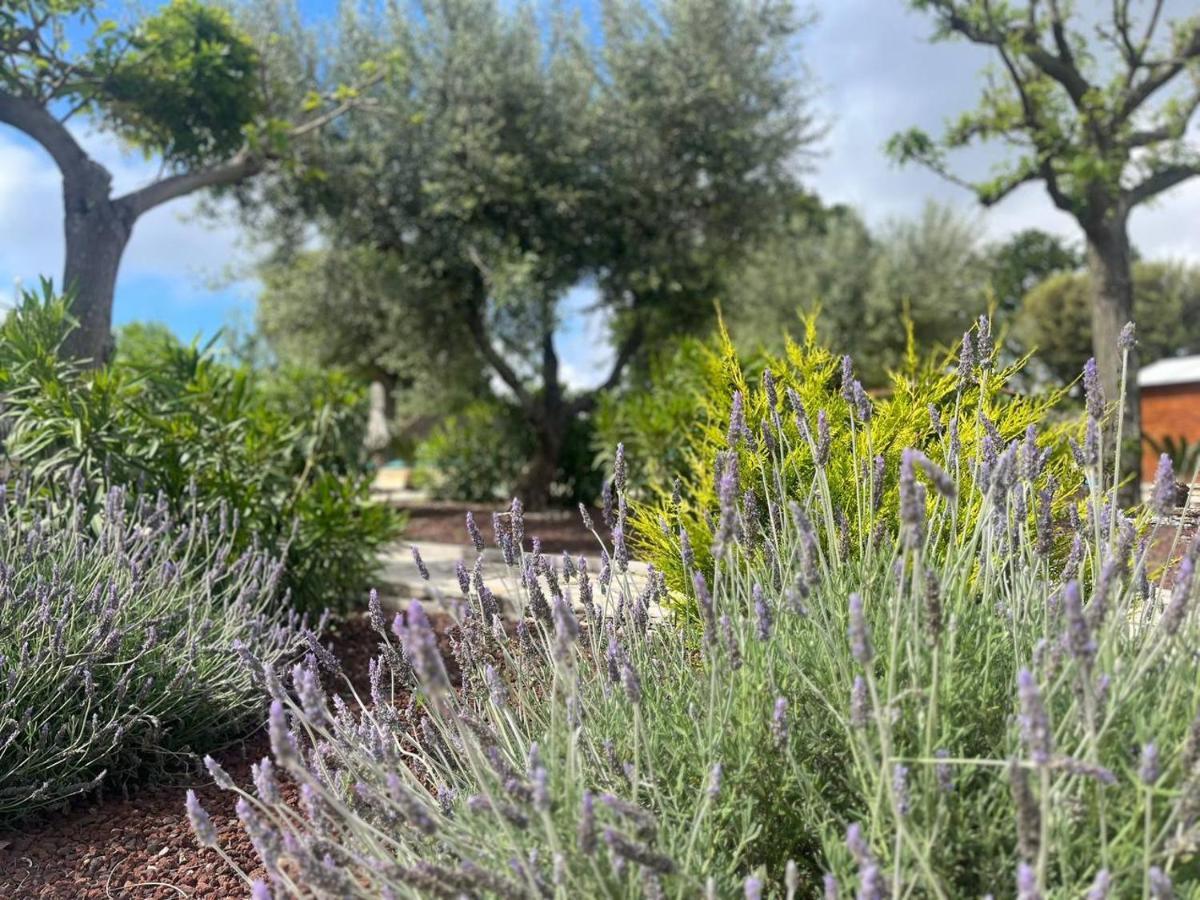 Maison Dei Trulli Appartement Locorotondo Buitenkant foto