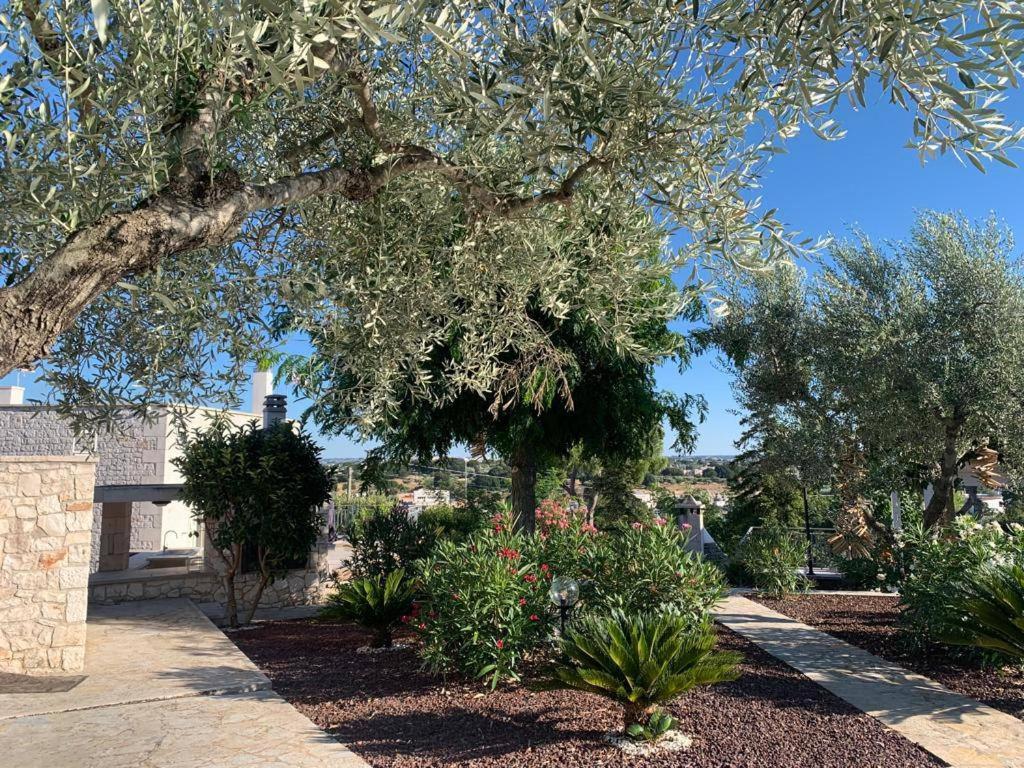 Maison Dei Trulli Appartement Locorotondo Buitenkant foto